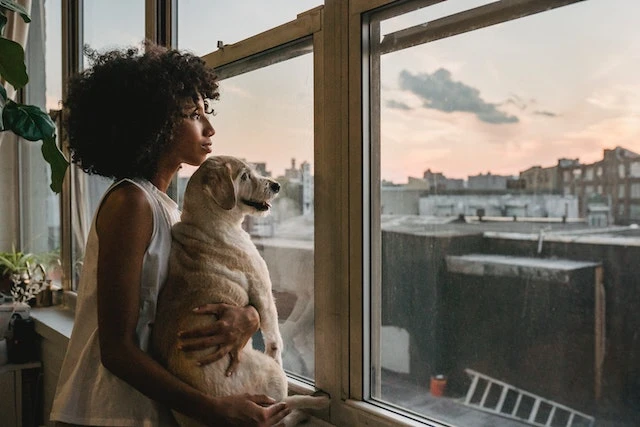 a smiling person holding their dog and looking out of an apartment window
