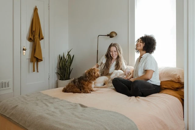 A happy couple sitting on a large bed with their small orange dog and a larger white dog in between them (pet interview)
