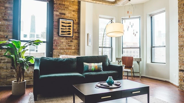 Cozy living room interior with a green velvet couch, coffee table, and green plants