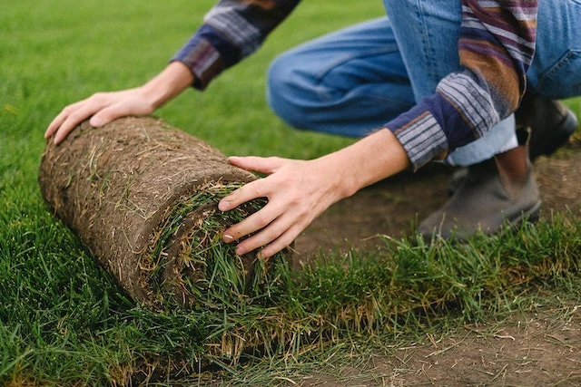 Cropped image of someone laying down a roll of grass