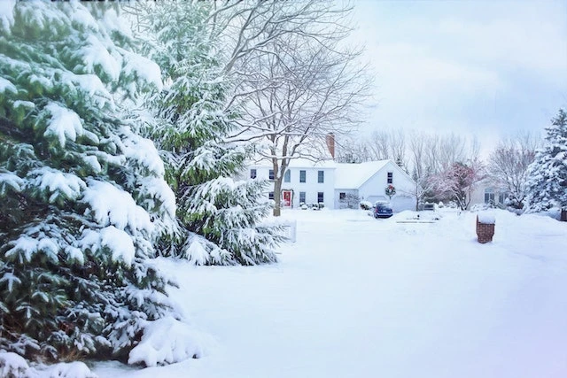 House and trees covered in snow