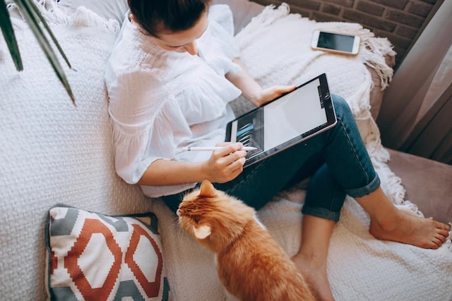 Overhead shot of a property manager using an ipad on their couch next to an orange cat