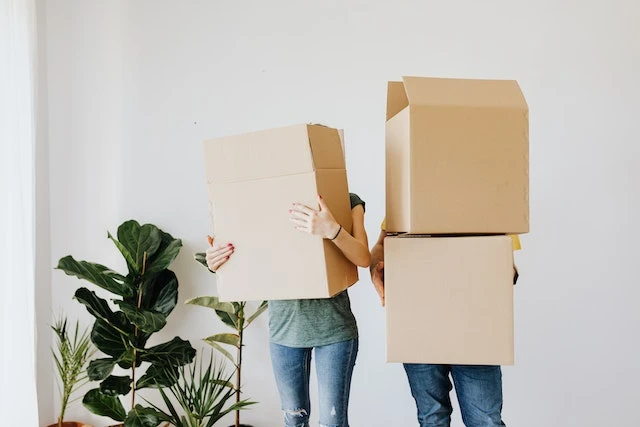 Two people holding cardboard boxes in front of their faces