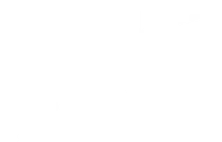 Netgain Property Management